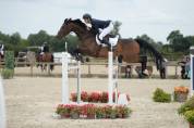 Cheval de compétition 8 ans - Pro 2, Amateur Élite