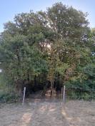 Superbe propriété Maison, stabulation, 2 hectares foret