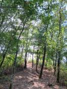 Superbe propriété Maison, stabulation, 2 hectares foret