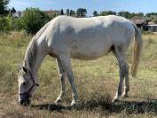 Olivia, grande soeur, cherche prairie verdoyante