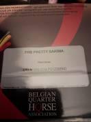 Pouliche paint horse