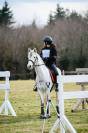 Poney à vendre - Connemara de 4 ans
