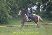 Enseignante d'equitation relationnelle