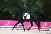 Superbe jument 5 ans gros potentiel