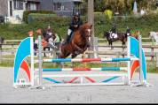 Top poney de 1m48 à vendre