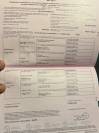Semental BWP Caballo de Sangre Belga En venta 2023 Alazán