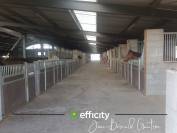 Ponyclub Koop Loire-Atlantique