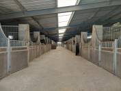 Ponyclub Koop Loire-Atlantique