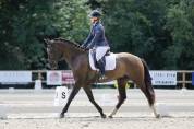 cheval pure race espagnole