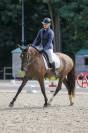 cheval pure race espagnole