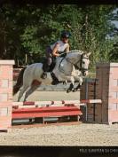 Super Poney Hunter, dressage, complet À Vendre