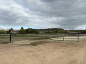 Eigenaren stal Koop Calvados