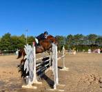 vends jument cso 9 ans super génétique