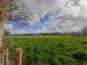 Bâtiments Agricoles sur environ 15 ha