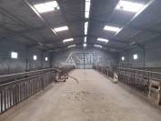 Bâtiments Agricoles sur environ 15 ha
