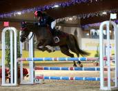 Jument Autre Race de Poney A vendre 2009 Alezan brulé