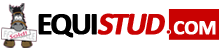 Equistud.com