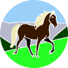 430631_20240715181934.jpg