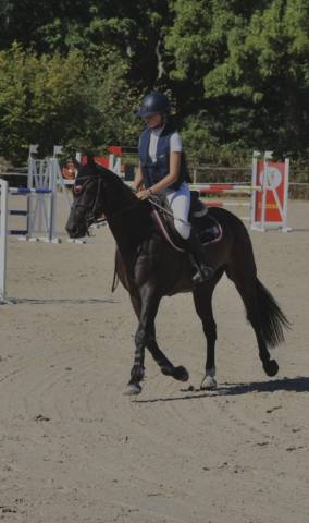 Jument 10 ans à remettre en route