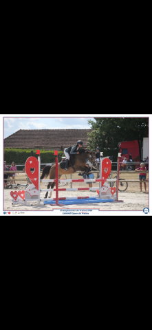 Poney à louer galinka lakshmi 