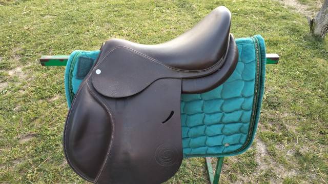 Selle forestier modéle prem's 2022