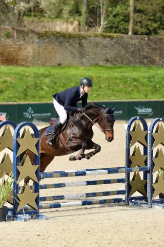 Jument porteuse sf 10 ans