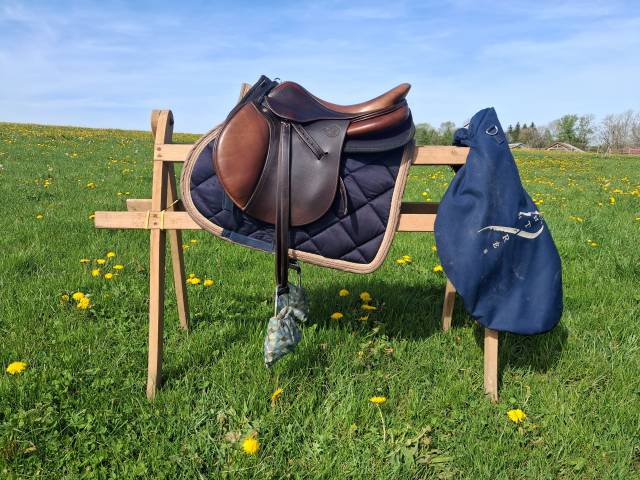 Selle signature antares