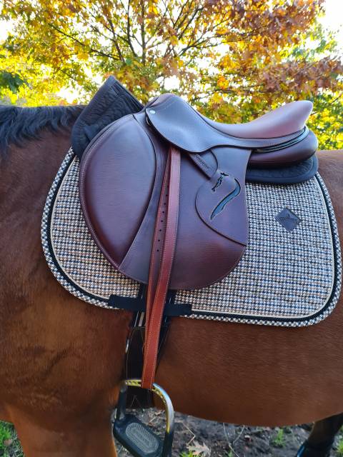 Selle antares connexion