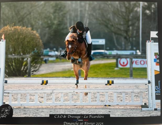 Super ponette 1,26m 2015 recherche son ou sa cavalière