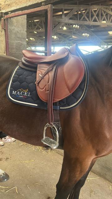 Selle macel neuve 