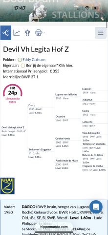 Cheval de 11 ans à vendre 