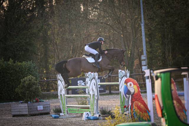 Cheval de 11 ans à vendre