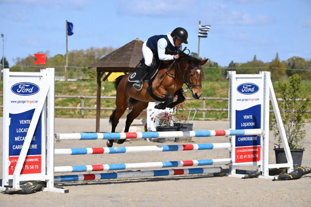 Ponette à vendre mahona de borane 4 ans 