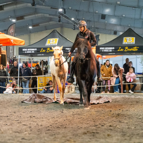 Emporio, un très beau mental