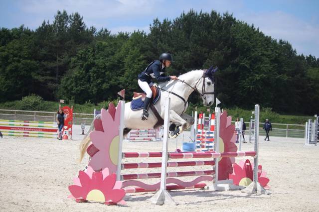✨ à vendre – jeune cheval d’avenir ✨