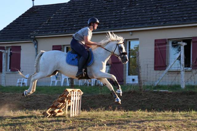 Poney onc 