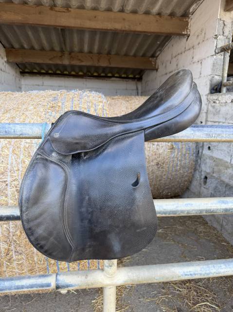 Selle mixte 17.5 privilège equitation