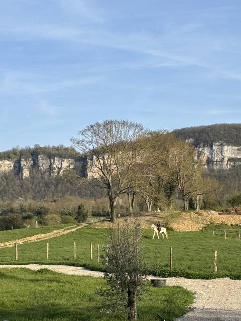 Pension au pré - les prairies de larina - hieres sur amby (38)
