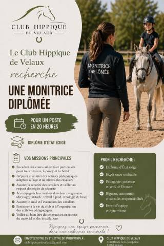 Moniteur /monitrice