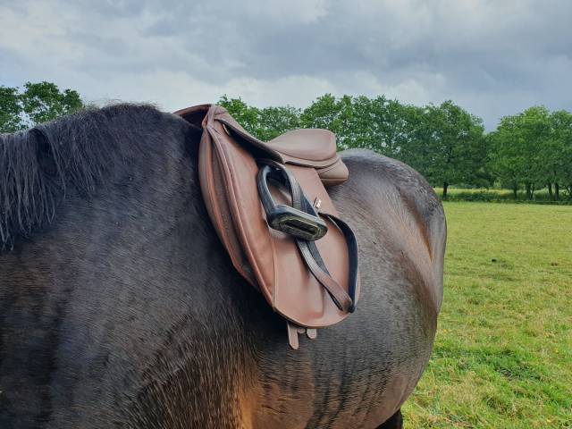 Selle wintec pro jump avec système cair