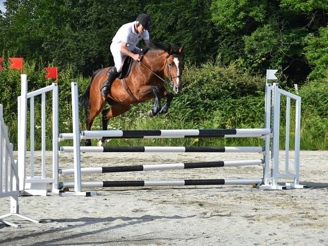 Epona coco - jument 
