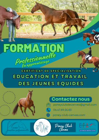 Formation cs éducation et travail du jeune équidé