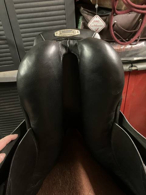 Selle stubben 
