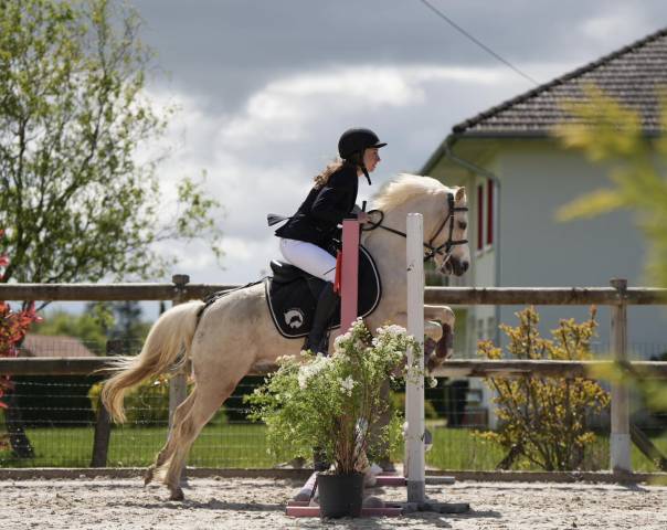 Welsh cso pour location