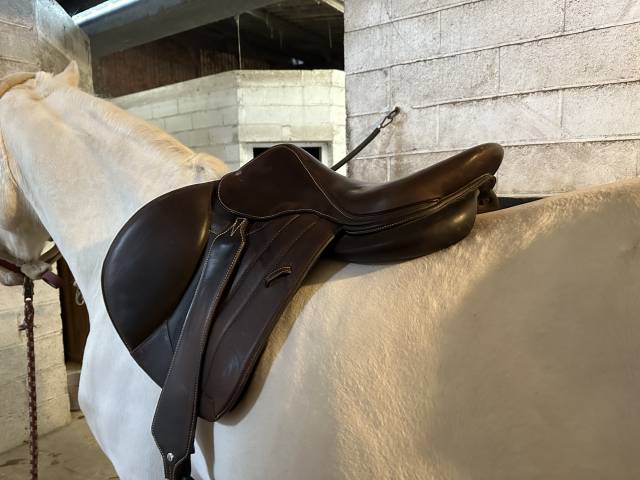 Selle forestier séoul 