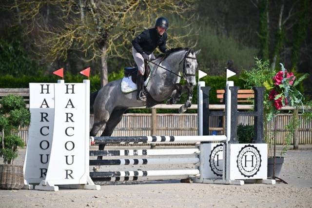 Top 4 ans selle français cso cce