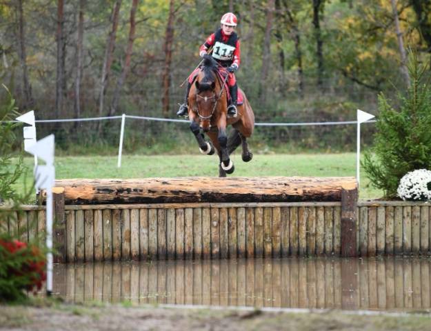 Cheval de sport pour cce amat 1 / elite 