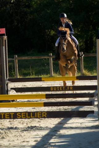 Vends poney d 9 ans - cso dressage cce