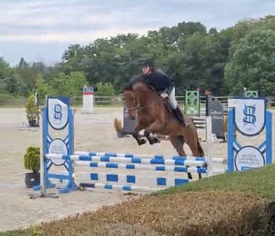 4ans pour amateur très gentil 