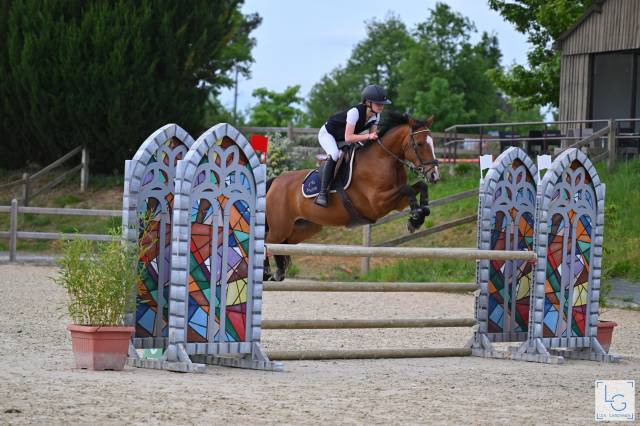 A vendre ponette 8 ans 